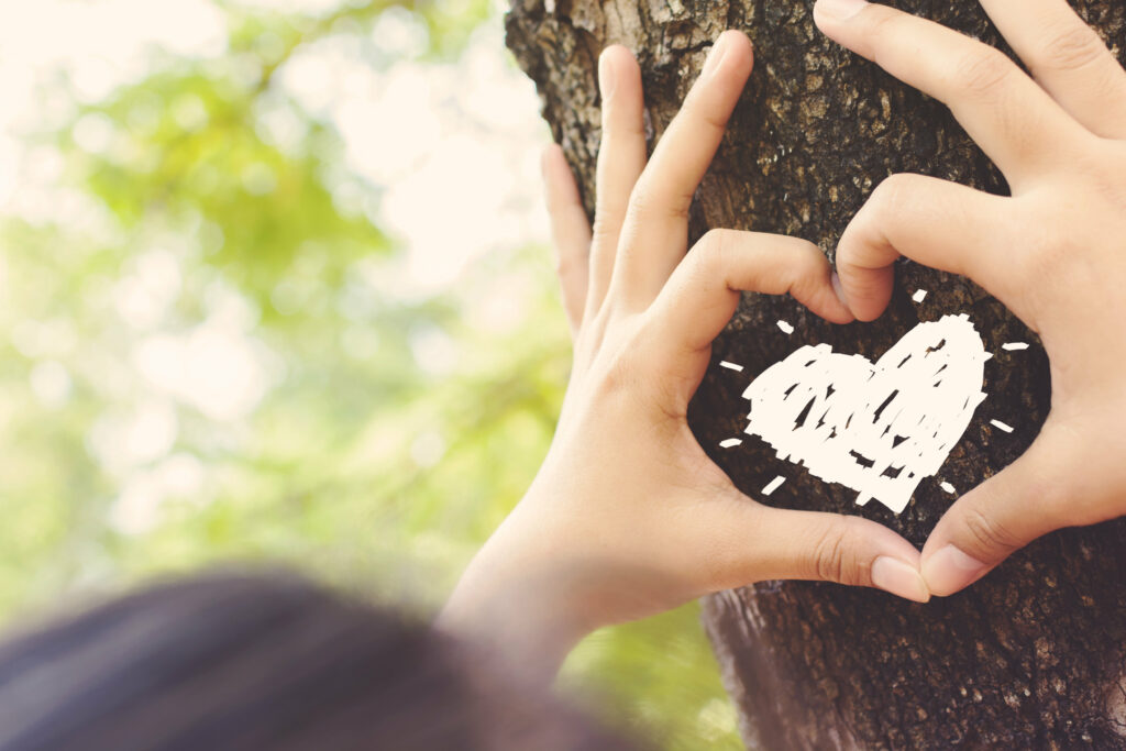 Tree lover